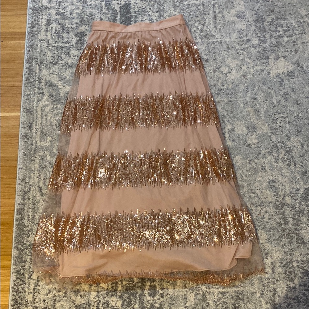 Anthropologie Eva Franco Champagne Sequin Tulle Skirt Size 6